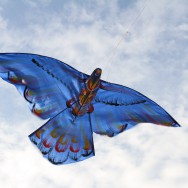 Wayan's kite, Sanur, Bali
