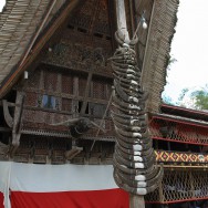 Buffalo horns in front of house, Sulawesi
