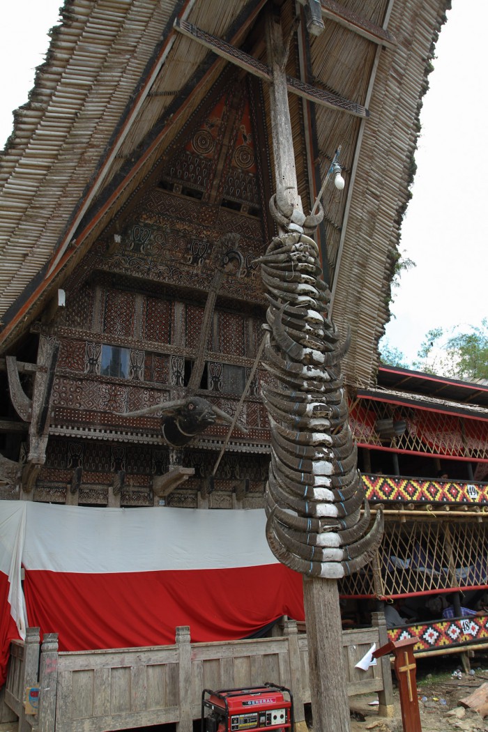 Buffalo horns in front of house, Sulawesi