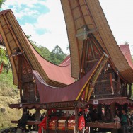Traditional houses and coffin, Sulawesi