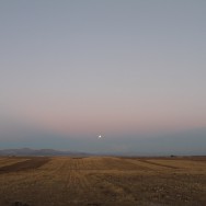 The view from the bus stop
