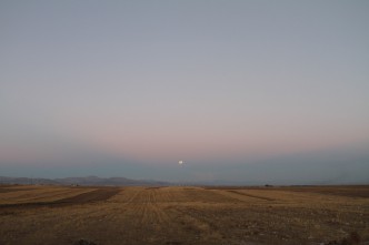 The view from the bus stop