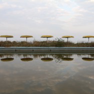 IMG_6692