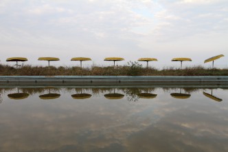 IMG_6692