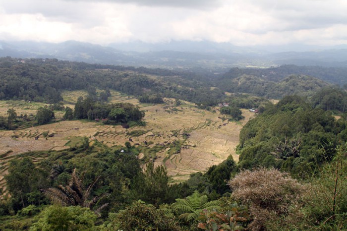 Tana Toraja, Sulawesi